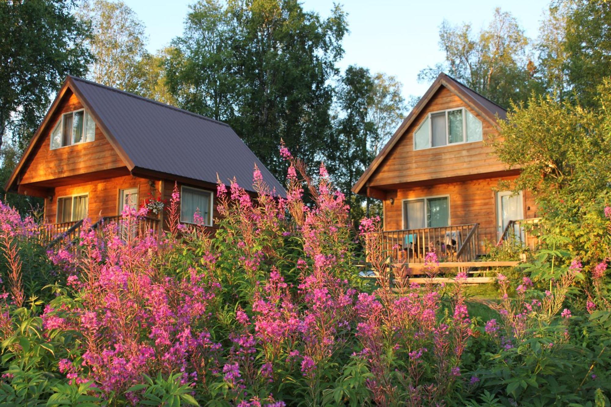 Susitna River Lodging, Riverside Cabins Talkeetna Exterior photo