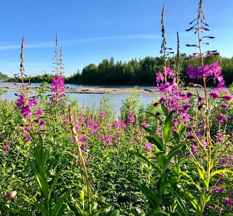Susitna River Lodging, Riverside Cabins Talkeetna Exterior photo