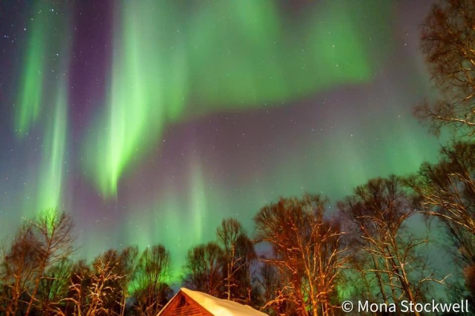Susitna River Lodging, Riverside Cabins Talkeetna Exterior photo